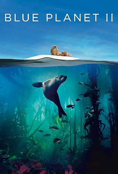 دانلود مستند سیاره‌ی زمین Blue Planet II 2017